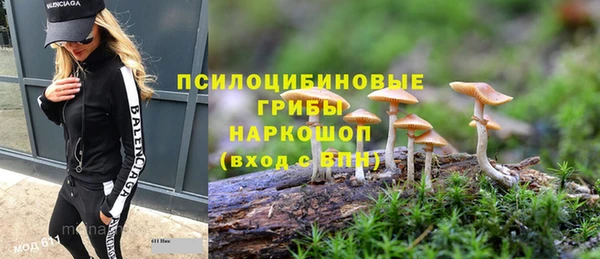 a pvp Кулебаки