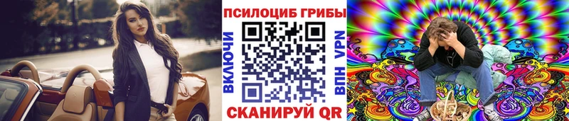 Псилоцибиновые грибы прущие грибы  Щёкино 